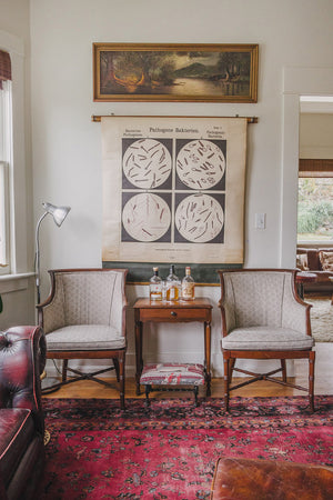 HS Collection Arm Chairs