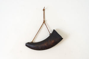 Bison Horn Wall Art