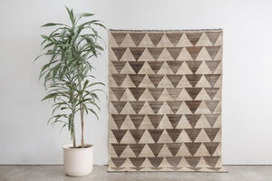 5x7 Persian Rug | SHIRIN
