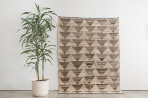 5x7 Persian Rug | SOHEILA