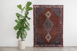 5x7 Persian Rug | PARSA