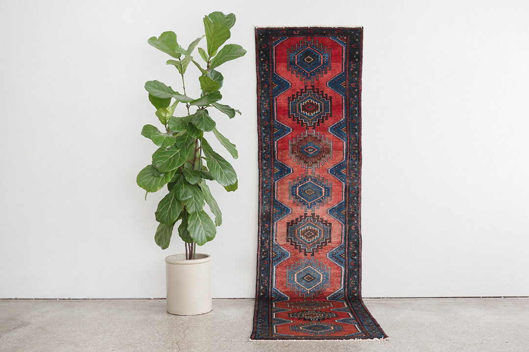 2.5x10 Persian Rug | MASUD
