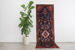 3x10 Persian Rug | NIUSH