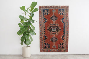 4x6 Persian Rug | HESAM