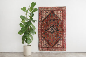 4x6 Persian Rug | HORMOZ