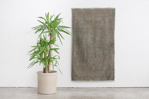 3x5 Turkish Rug | AYBERK