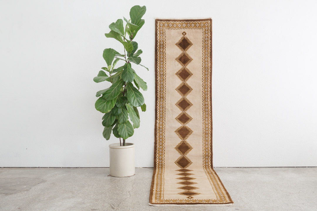 2.5x11 Turkish Rug | TEMEL