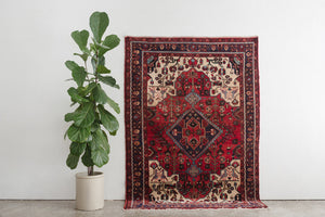 5x8 Persian Rug | SHAPUR