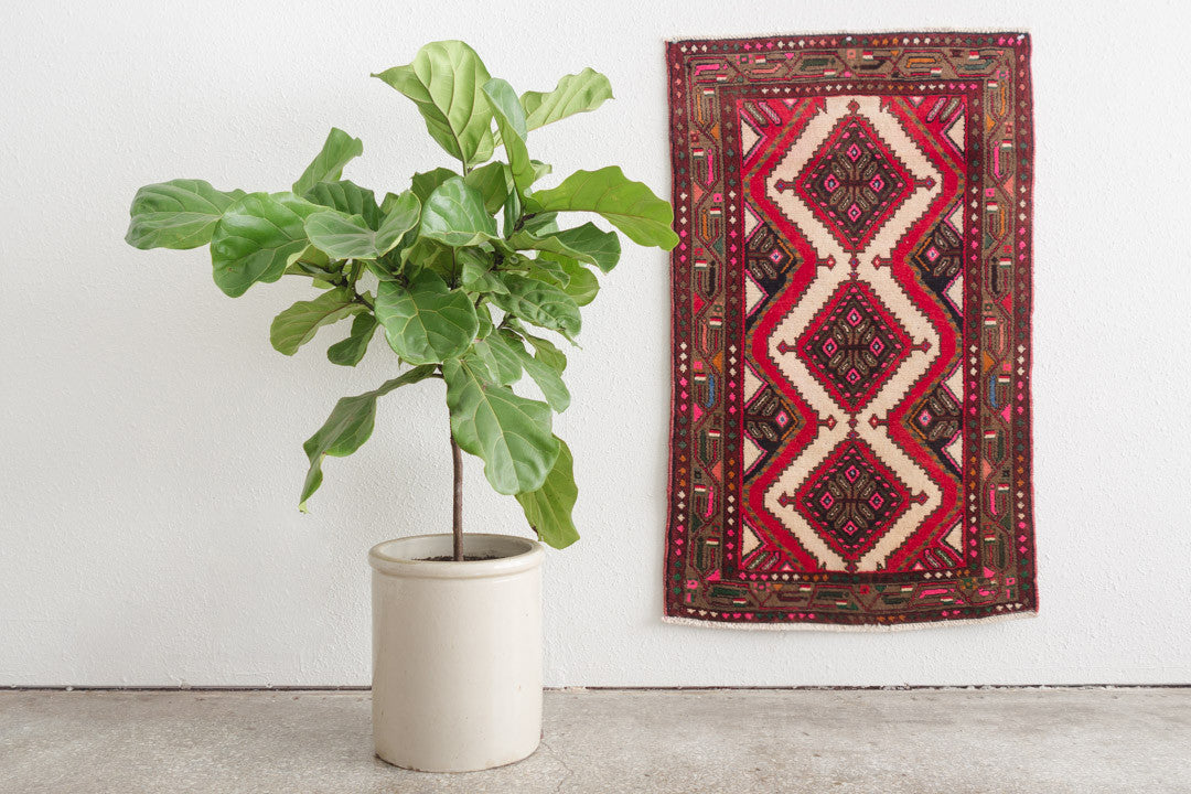 2.5x4 Persian Rug | HUMA
