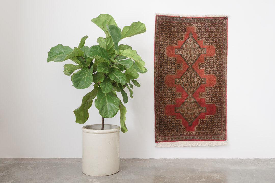 2.5x4 Persian Rug | ARIANA