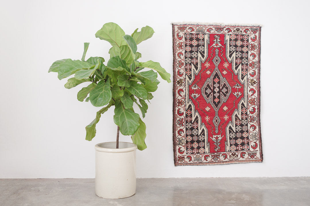 2.5x4 Persian Rug | AZADEH