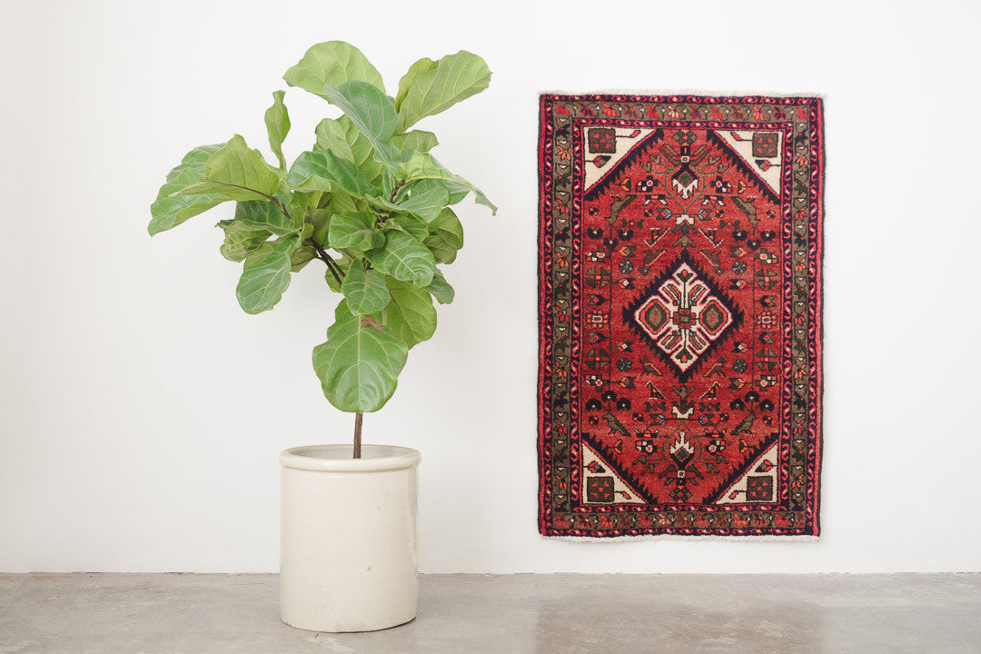 2.5x4 Persian Rug | SHANAZ