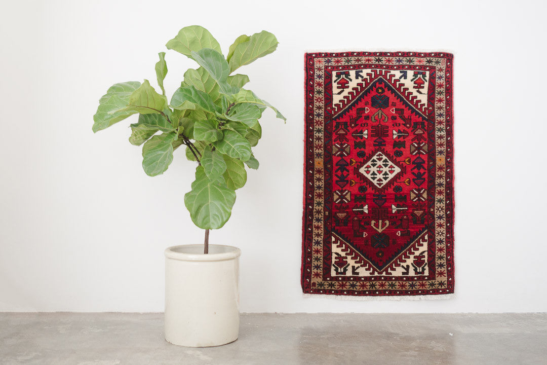 2.5x4 Persian Rug | ROUZA