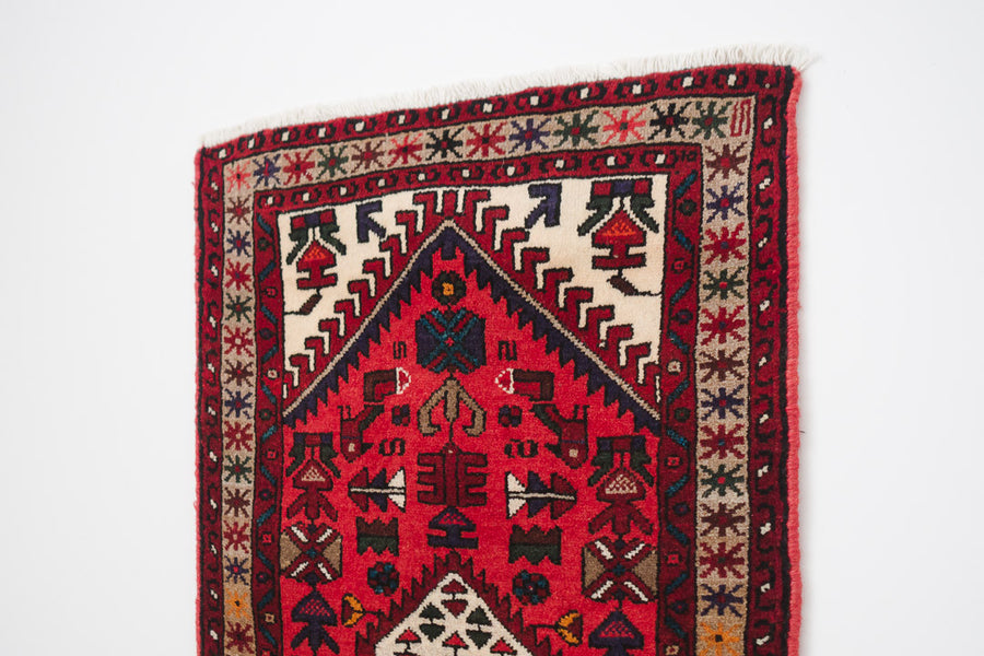 2.5x4 Persian Rug | ROUZA