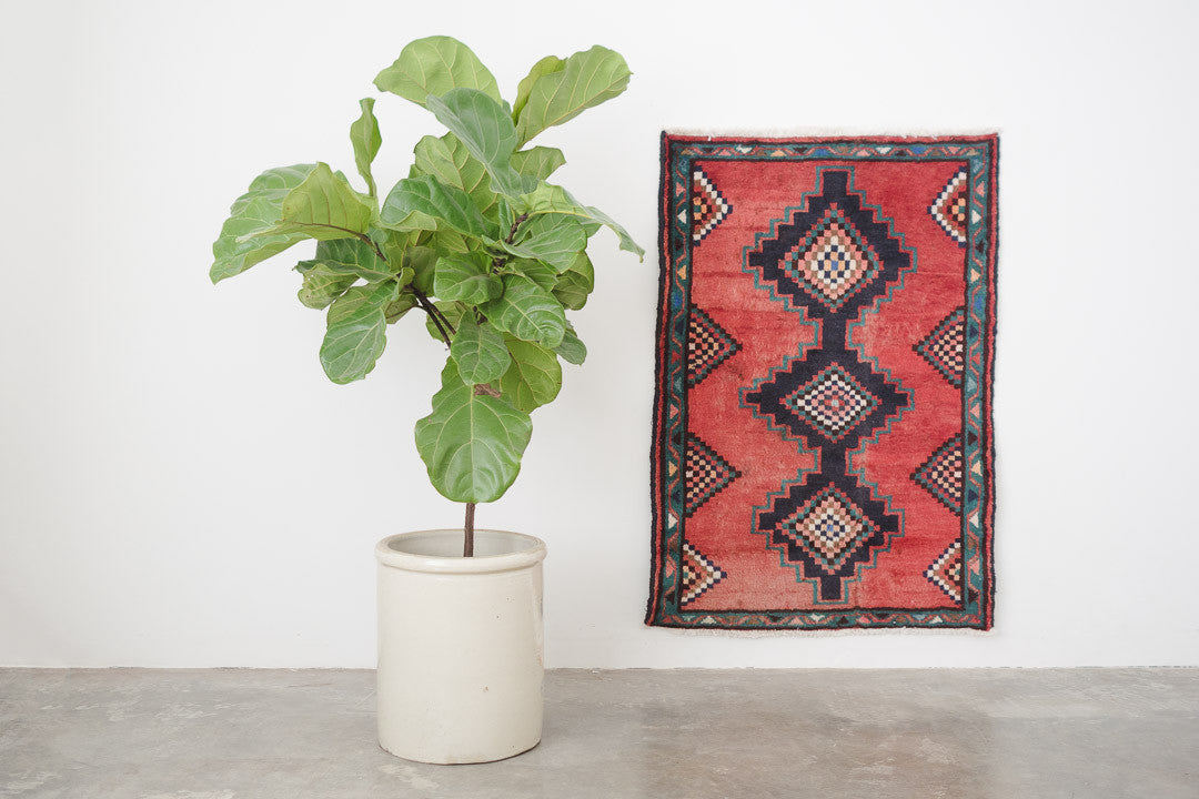 2.5x3.5 Persian Rug | MASTANA