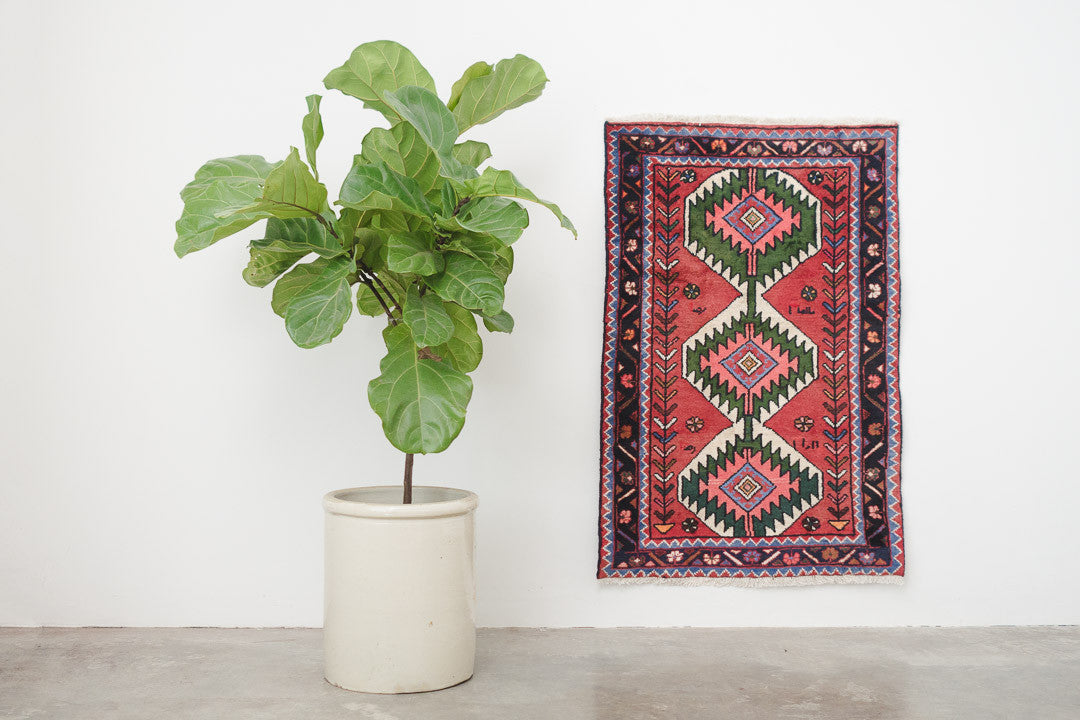 2.5x3.5 Perisan Rug | TABAN