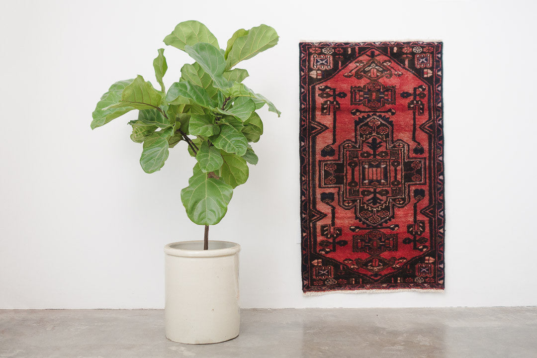 2.5x4 Perisan Rug | SURINA