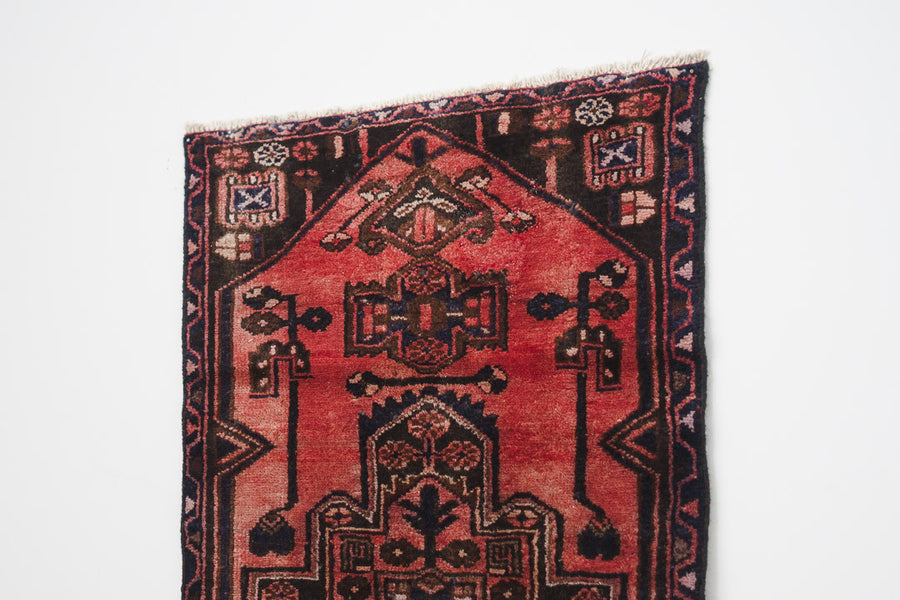 2.5x4 Perisan Rug | SURINA