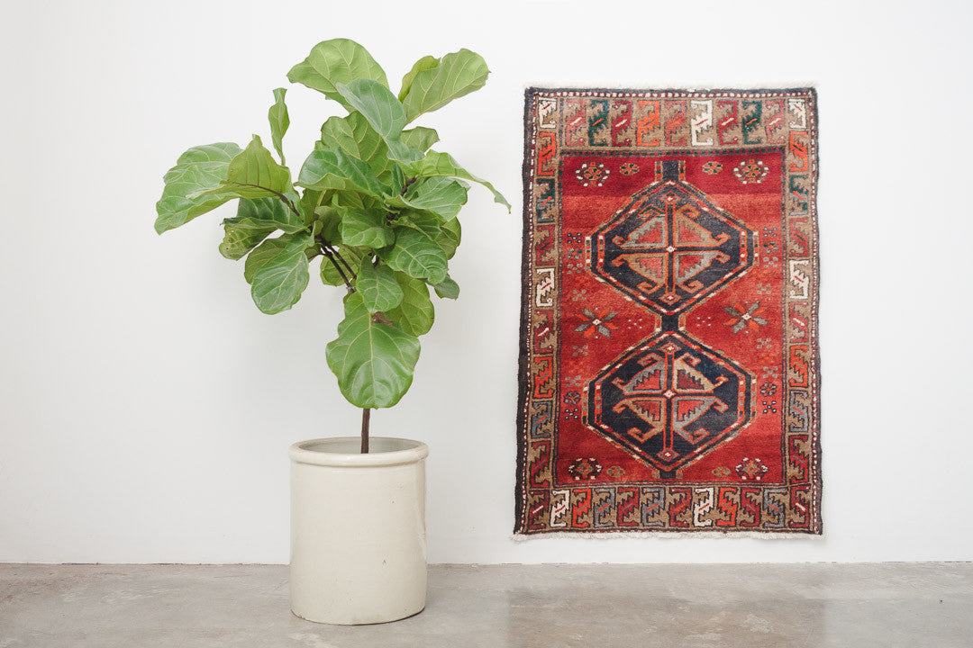 2.5x4 Perisan Rug | SERENA