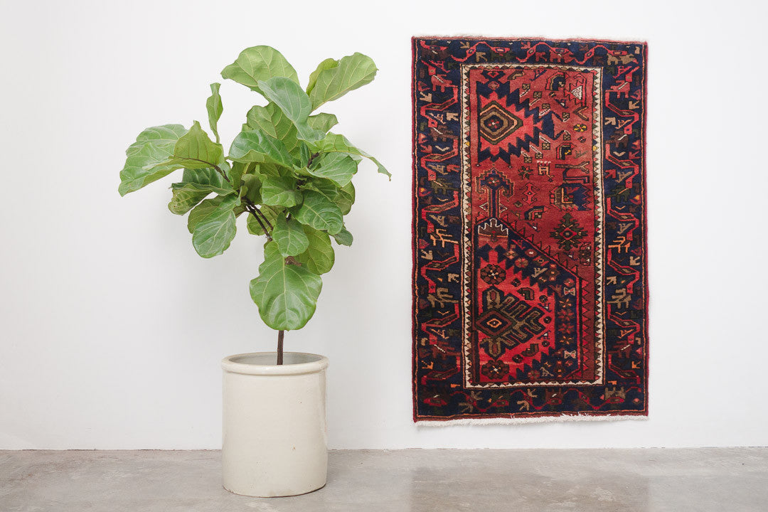 2.5x4.5 Perisan Rug | SAAMA
