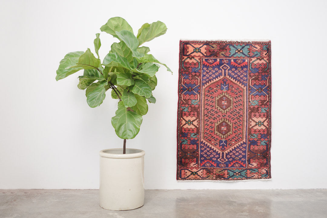2.5x4 Perisan Rug | SAIRAN
