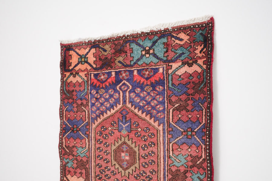 2.5x4 Perisan Rug | SAIRAN