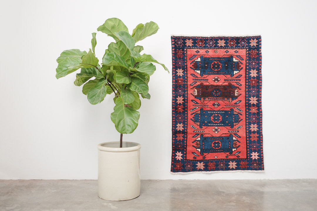 2.5x4 Perisan Rug | SARVEEN