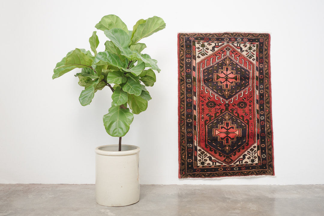 2.5x4 Perisan Rug | SARINA