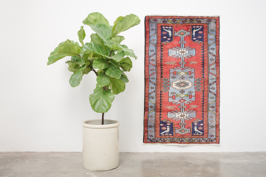 2.5x4 Perisan Rug | SALEENA