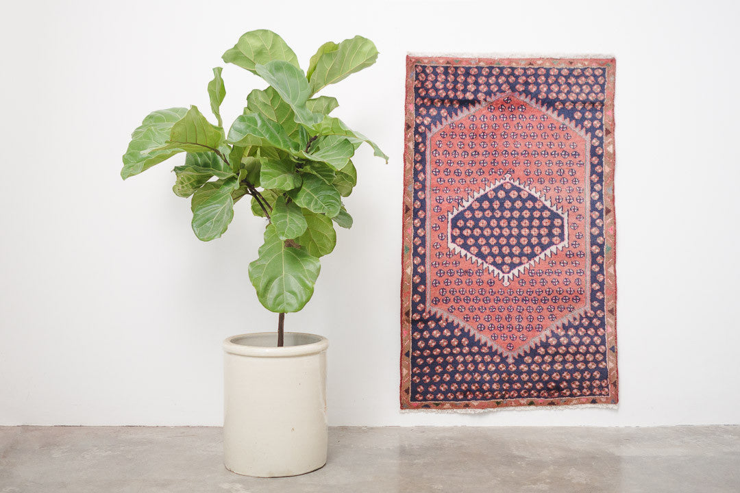 2.5x4 Perisan Rug | SAHELA