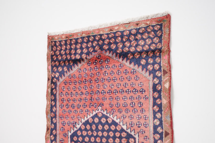 2.5x4 Perisan Rug | SAHELA