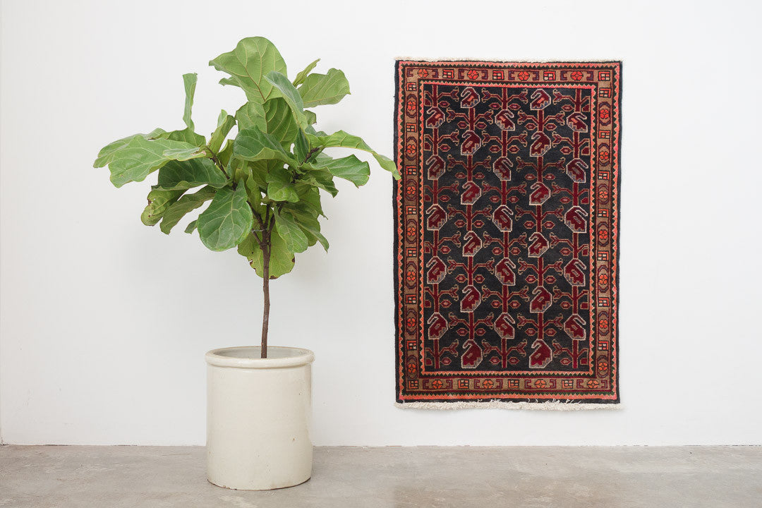 2.5x4 Persian Rug | DELAVAR