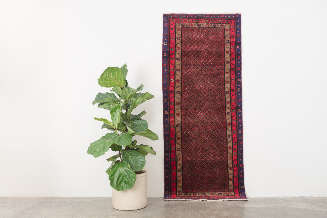 2.5x6.5 Persian Rug | HIRAD