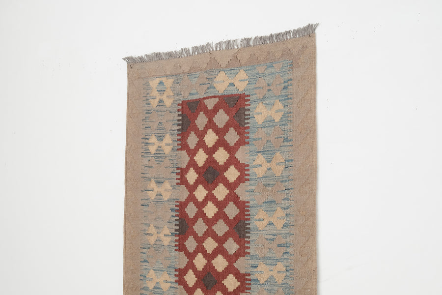 2.5x6.5 Turkish Rug | TEOMAN
