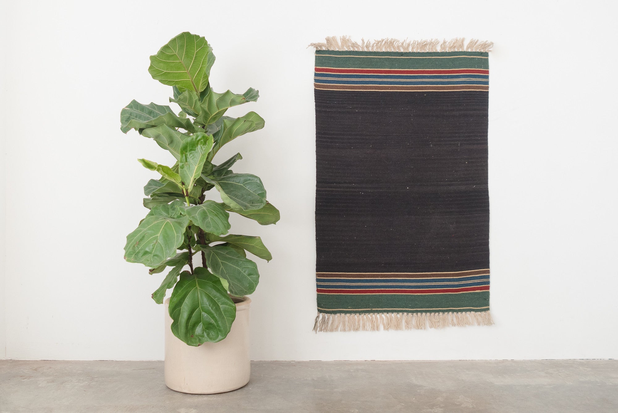 2.5x4 Turkish Rug | TEKIN