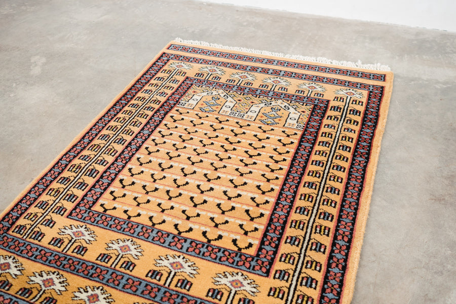 2.5x4 Persian Rug | SHERVAN