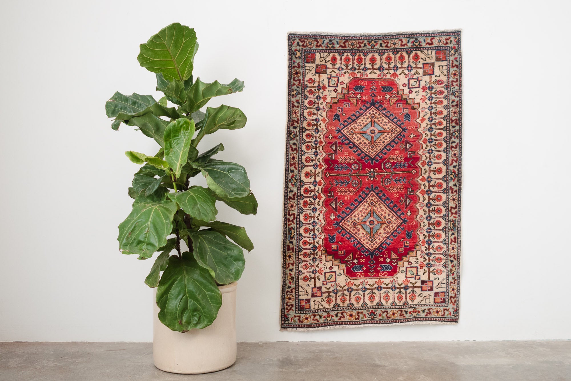 2.5x4 Persian Rug | SIAMAK