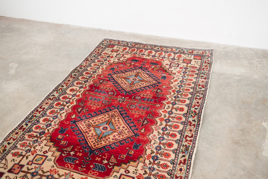 2.5x4 Persian Rug | SIAMAK