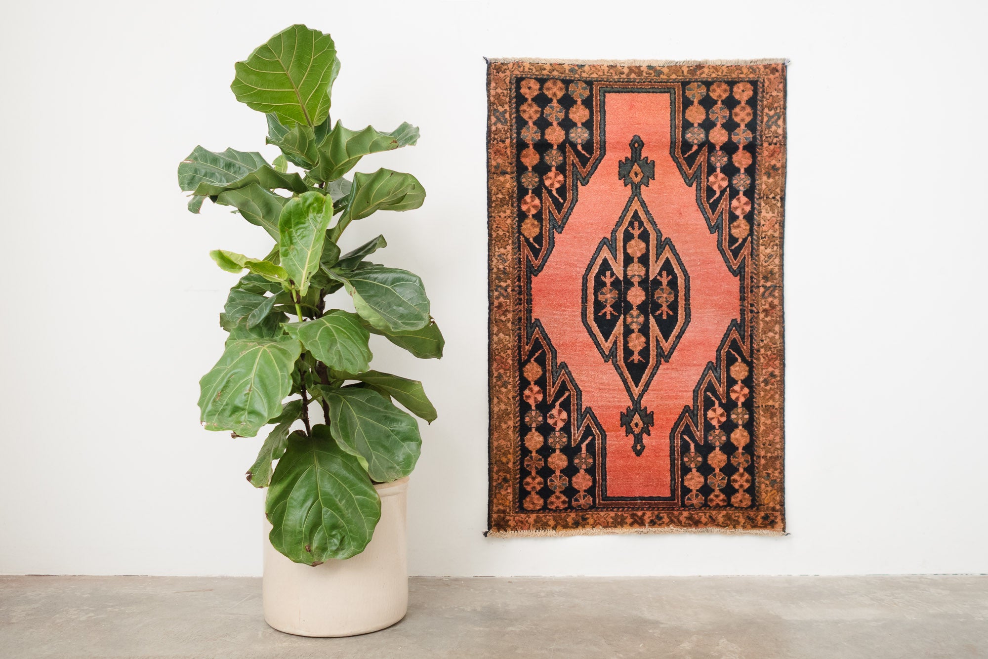 2.5x4 Persian Rug | SIRVAN