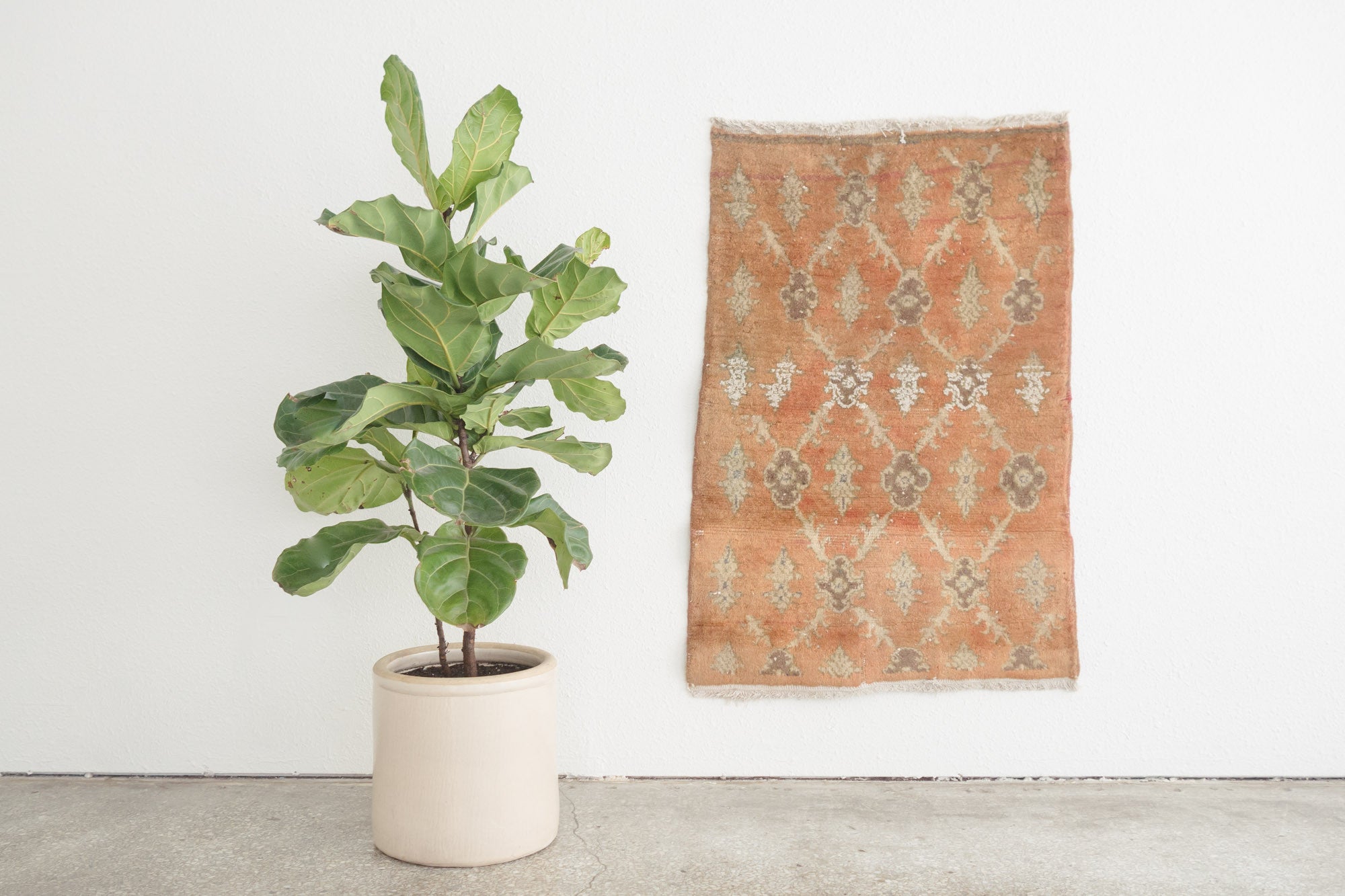 2.5x4 Turkish Rug | ALPEREN