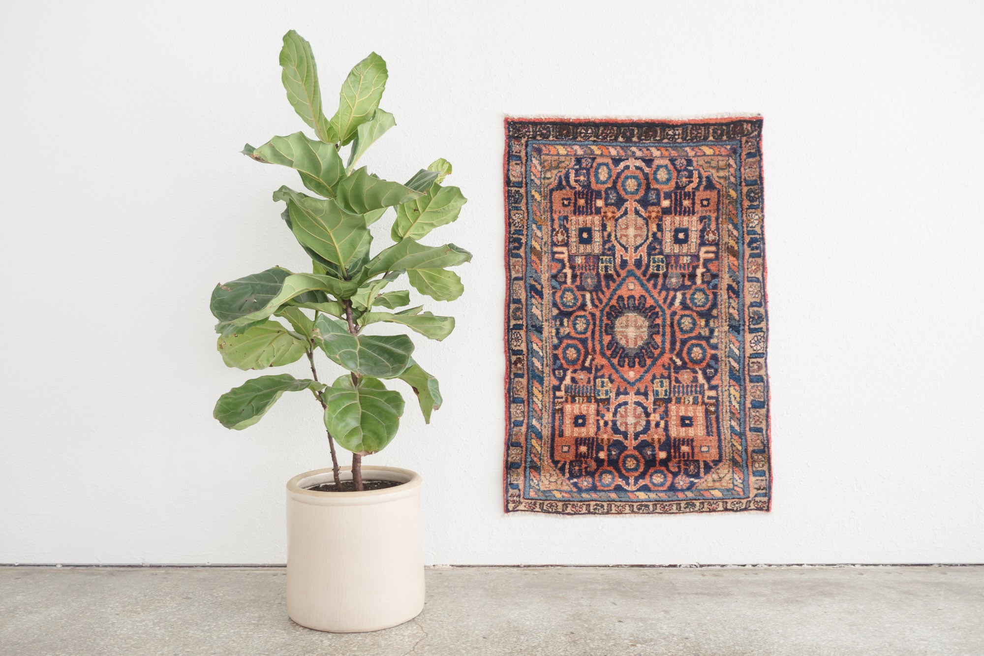 2.5x3.5 Persian Rug | AYSHA