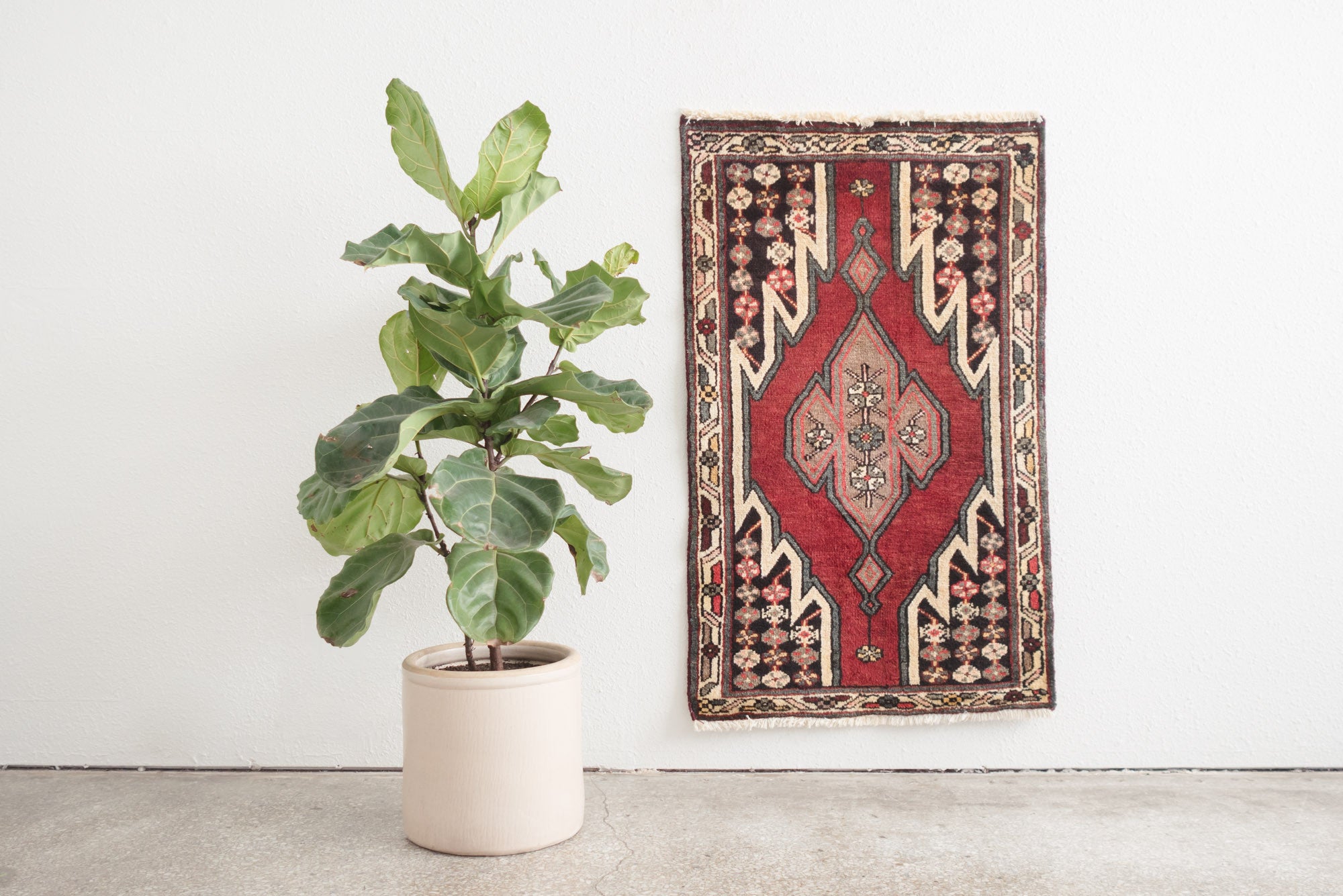 2.5x4 Persian Rug | MAHTAH