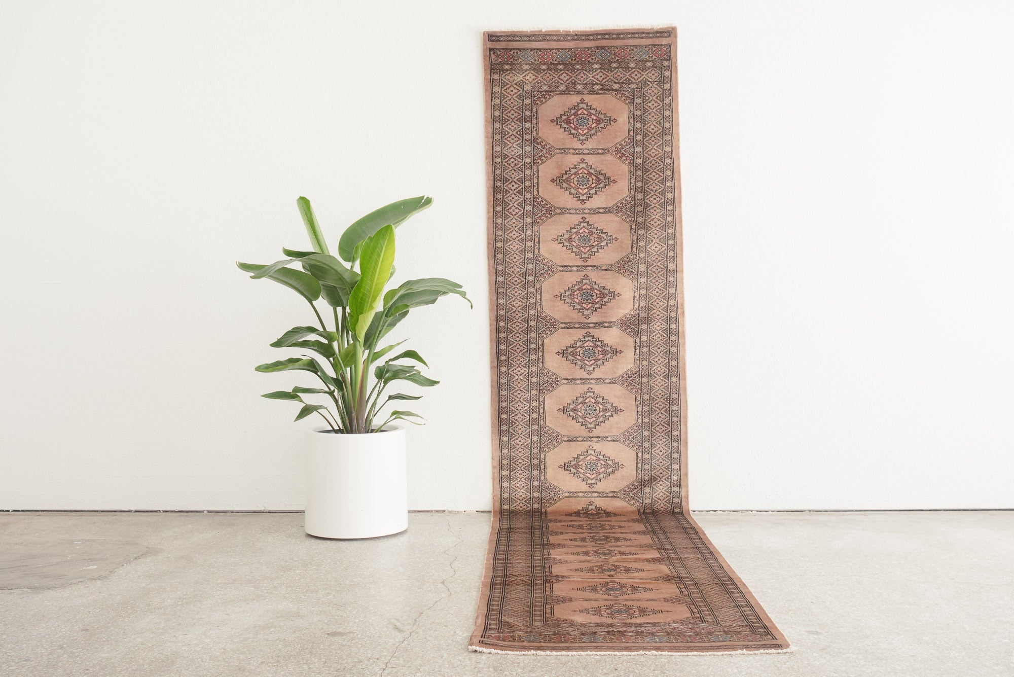 2.5x12 Pakistani Rug | HABBAH