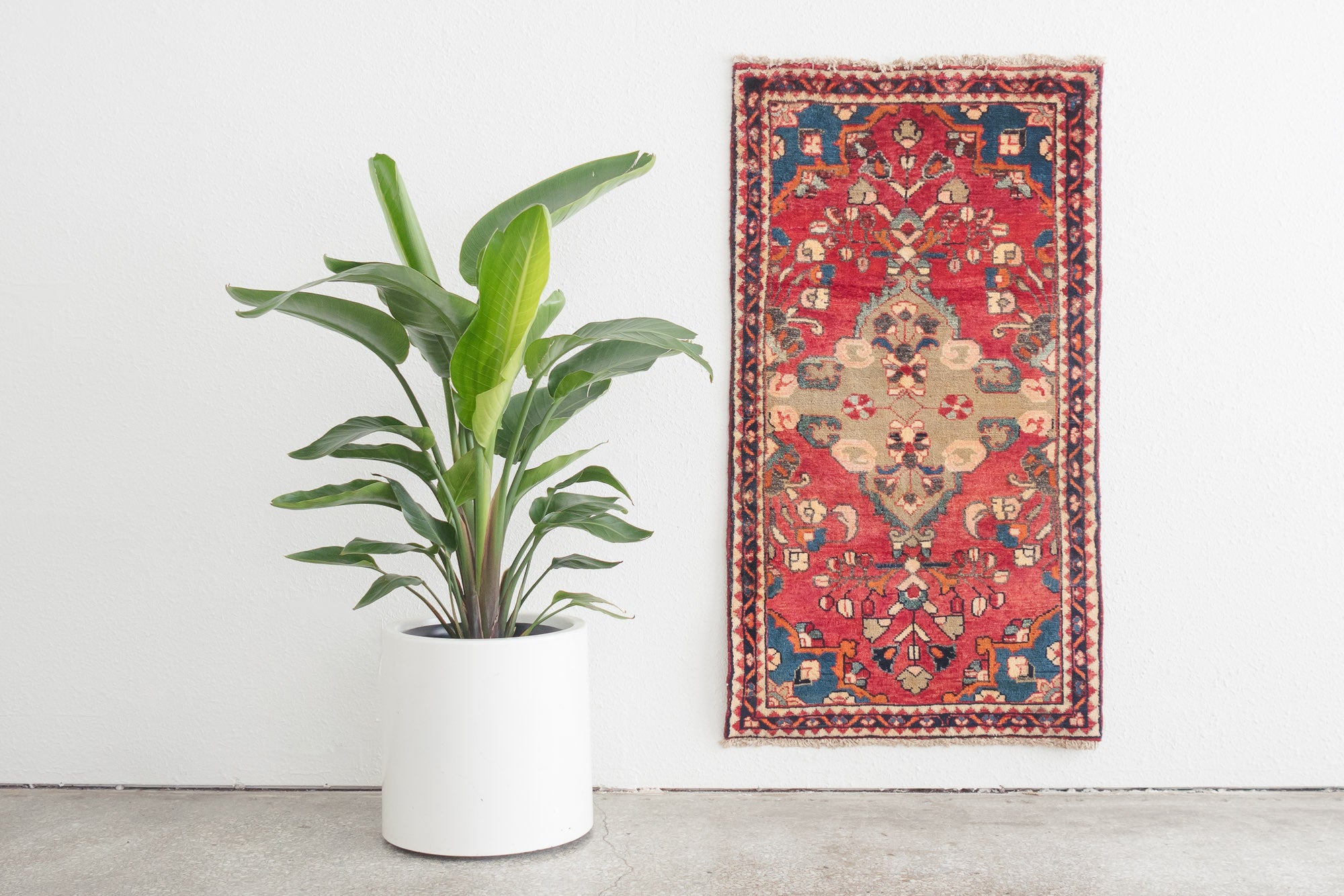 2.5x4.5 Persian Rug | NOURI