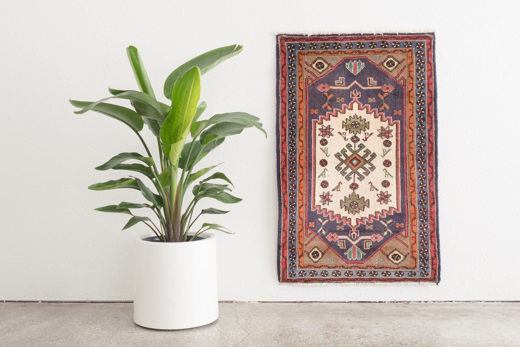 2.5x4 Persian Rug | NIKOU