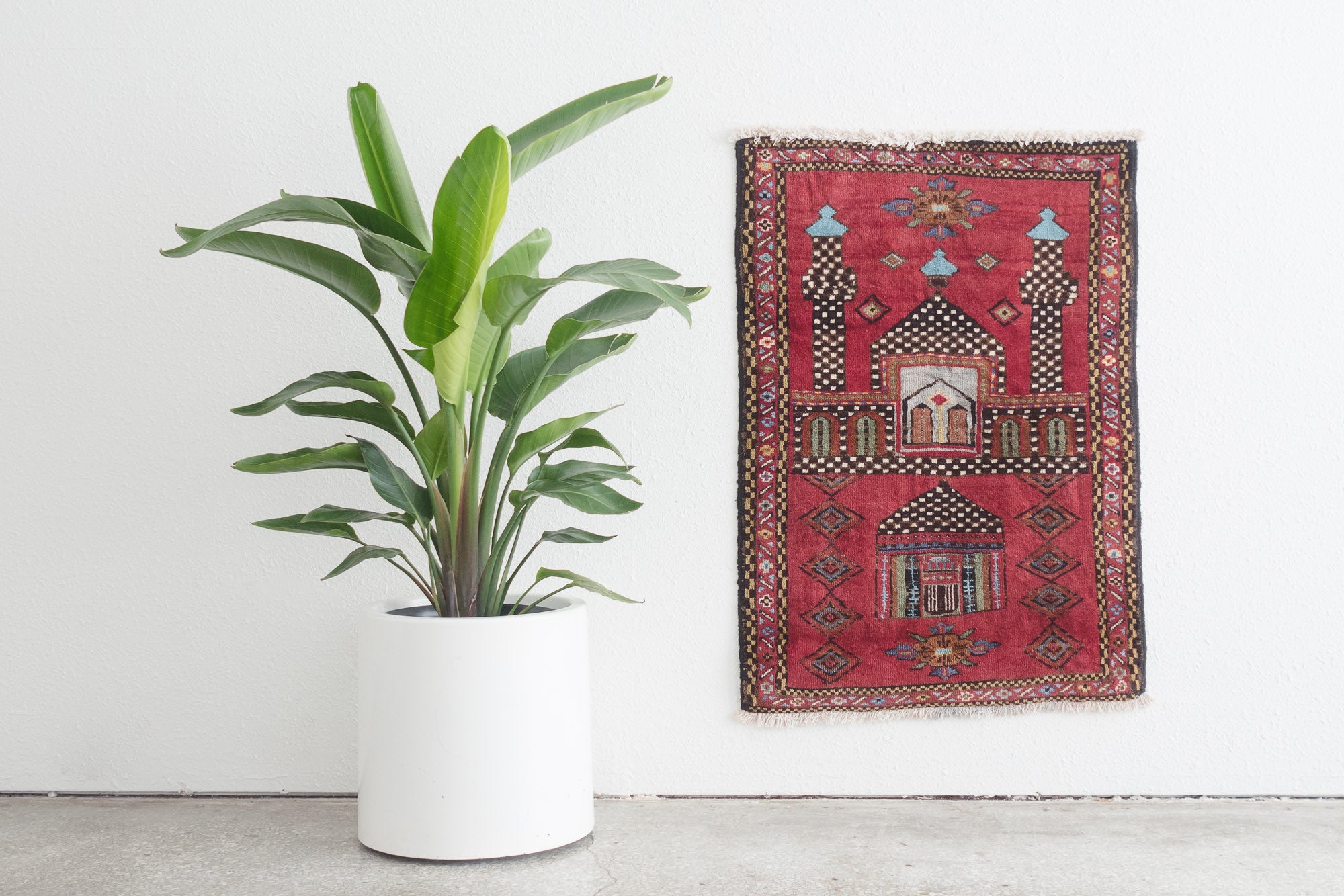2.5x3.5 Persian Rug | PASHA