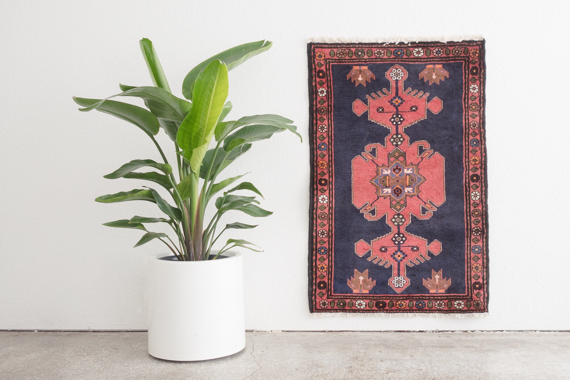 2.5x4 Persian Rug | RAVAN