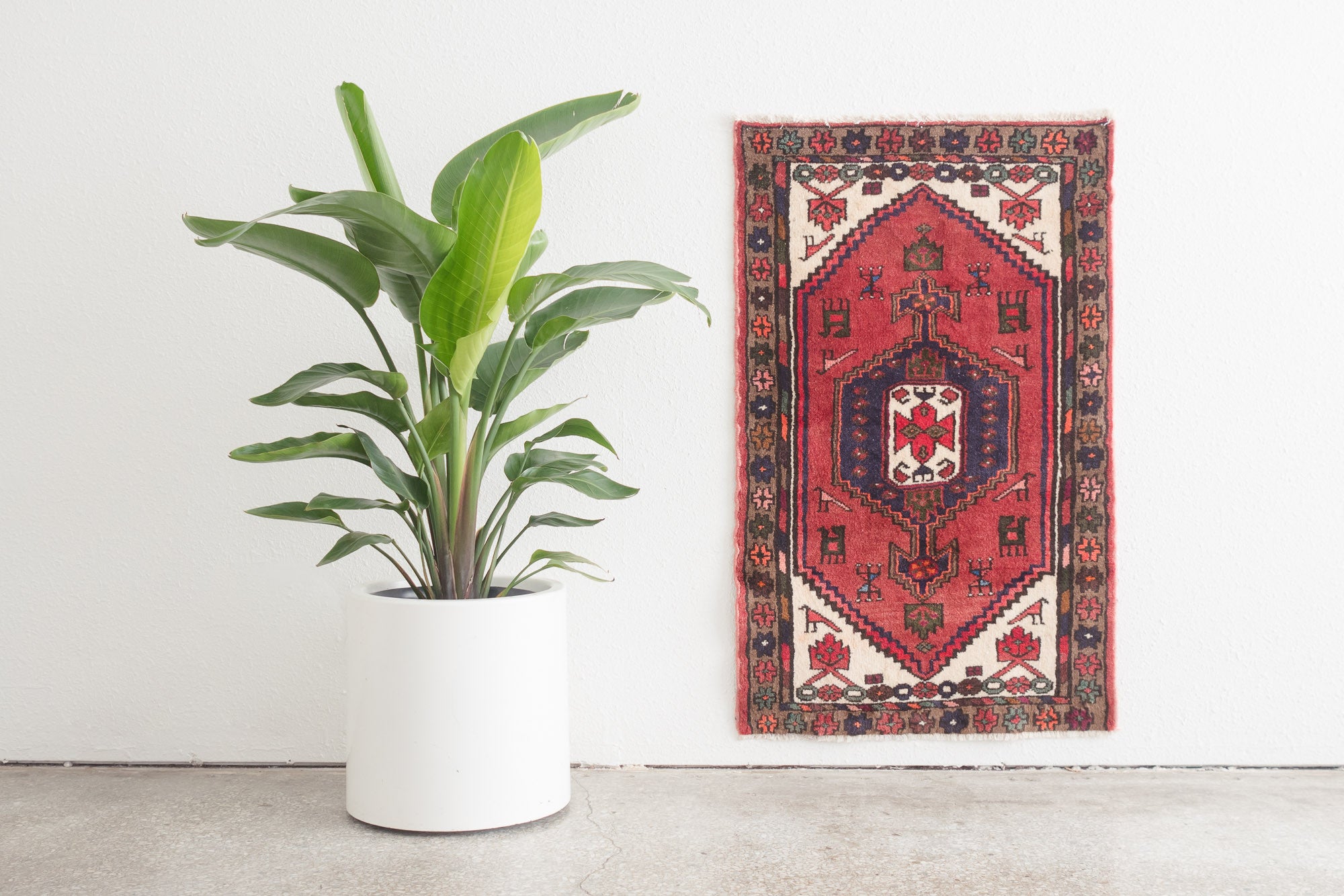 2.5x4 Persian Rug | RAHA