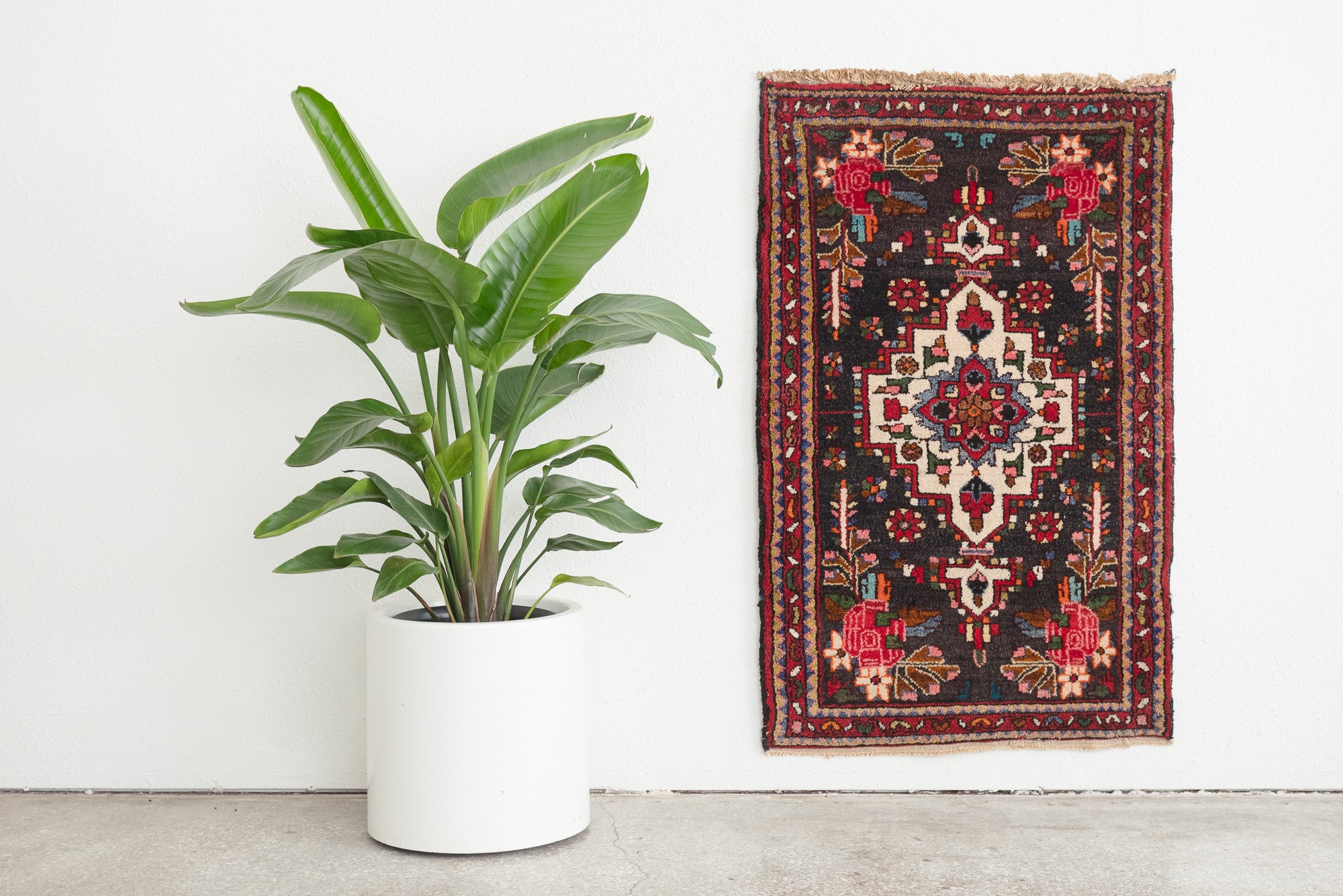 2.5x4 Persian Rug | RASA