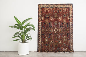4.5x6.5 Persian Rug | ARDUN